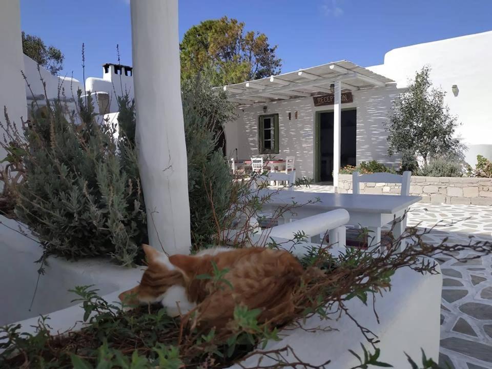 אדאמאס Thalassitra Village Hotel מראה חיצוני תמונה